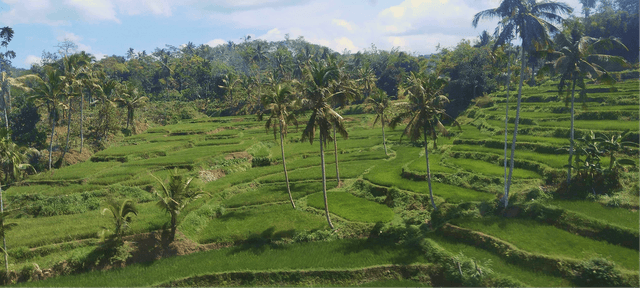 Ladang di Jetis Lor